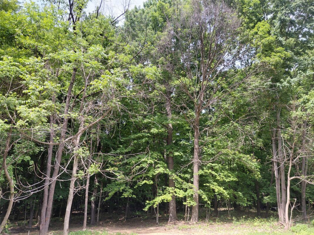 E5329 1370 Avenue, Ridgeland WI 54763 - Residential house for sale - MLS #1602398 - image12