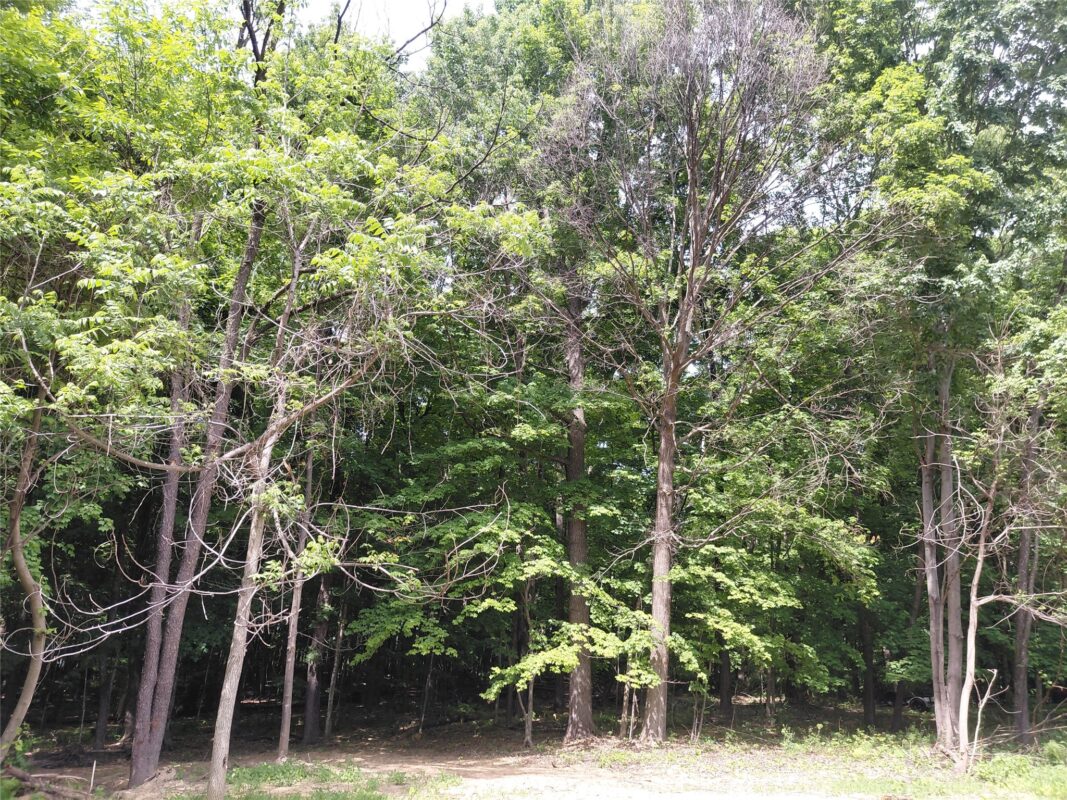 E5329 1370 Avenue, Ridgeland WI 54763 - Residential house for sale - MLS #1602398 - image13