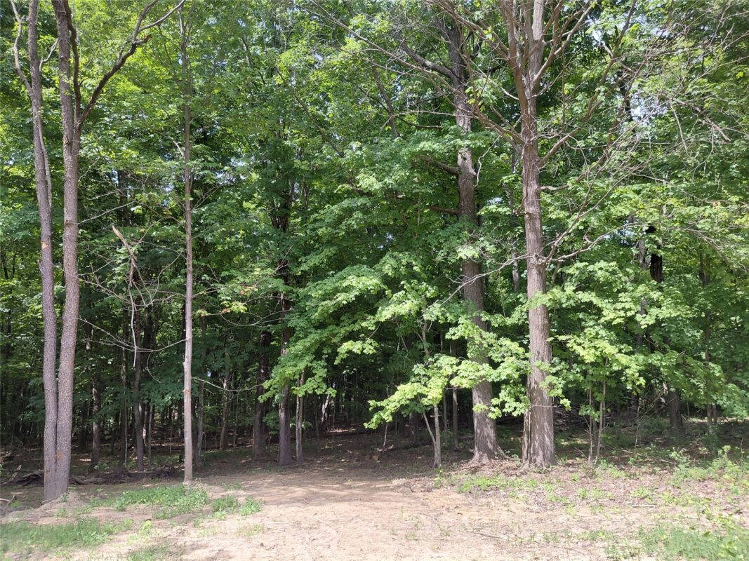 E5329 1370 Avenue, Ridgeland WI 54763 - Residential house for sale - MLS #1602398 - image10