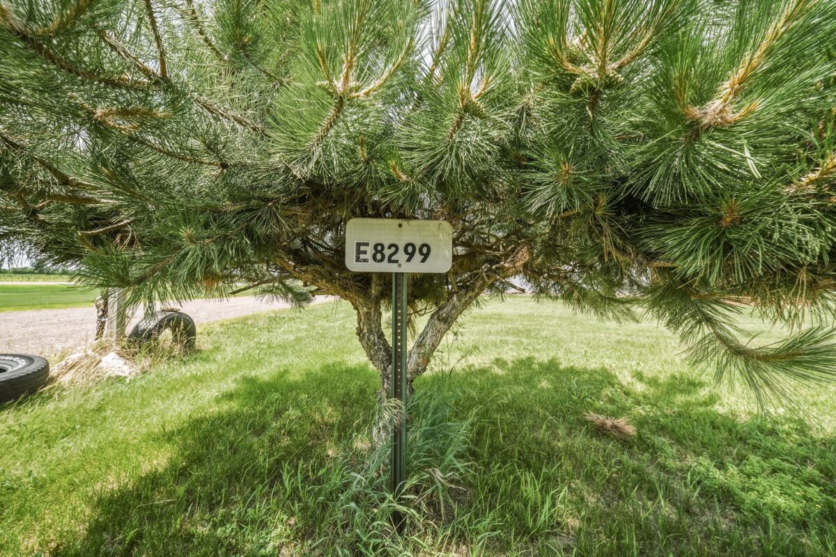 E8299 470th Avenue, Elk Mound WI 54739 - Land house for sale - MLS #1602824 - image22