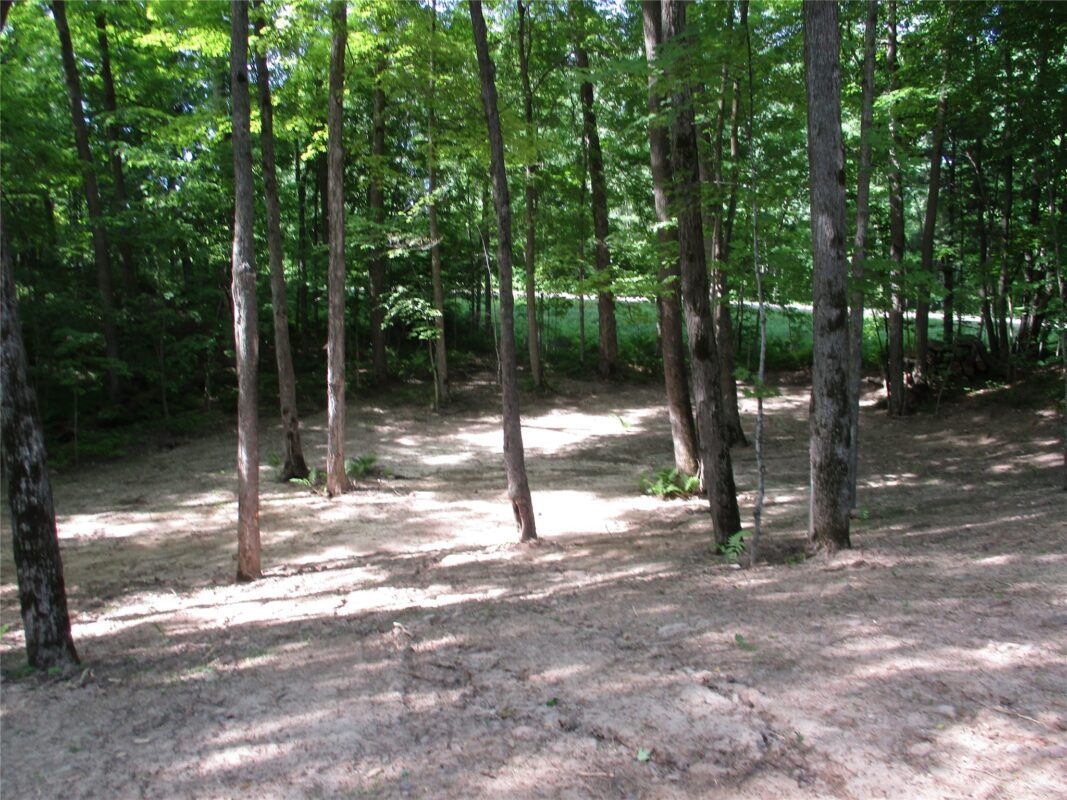 LOT #58 Stewart & 28th Street, Birchwood WI 54817 - Land house for sale - MLS #1601865 - image4