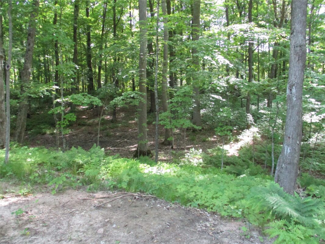 LOT #58 Stewart & 28th Street, Birchwood WI 54817 - Land house for sale - MLS #1601865 - image6