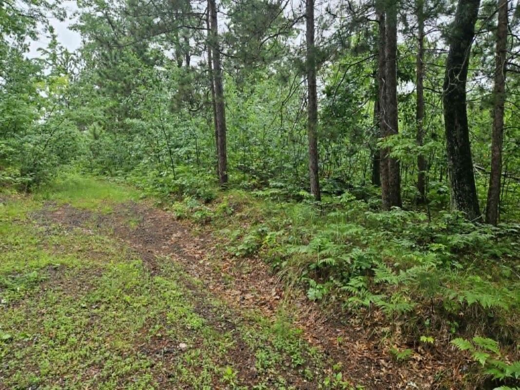 Lot 1-4 Hilly Lane, Spooner WI 54801 - Land house for sale - MLS #1602451 - image2