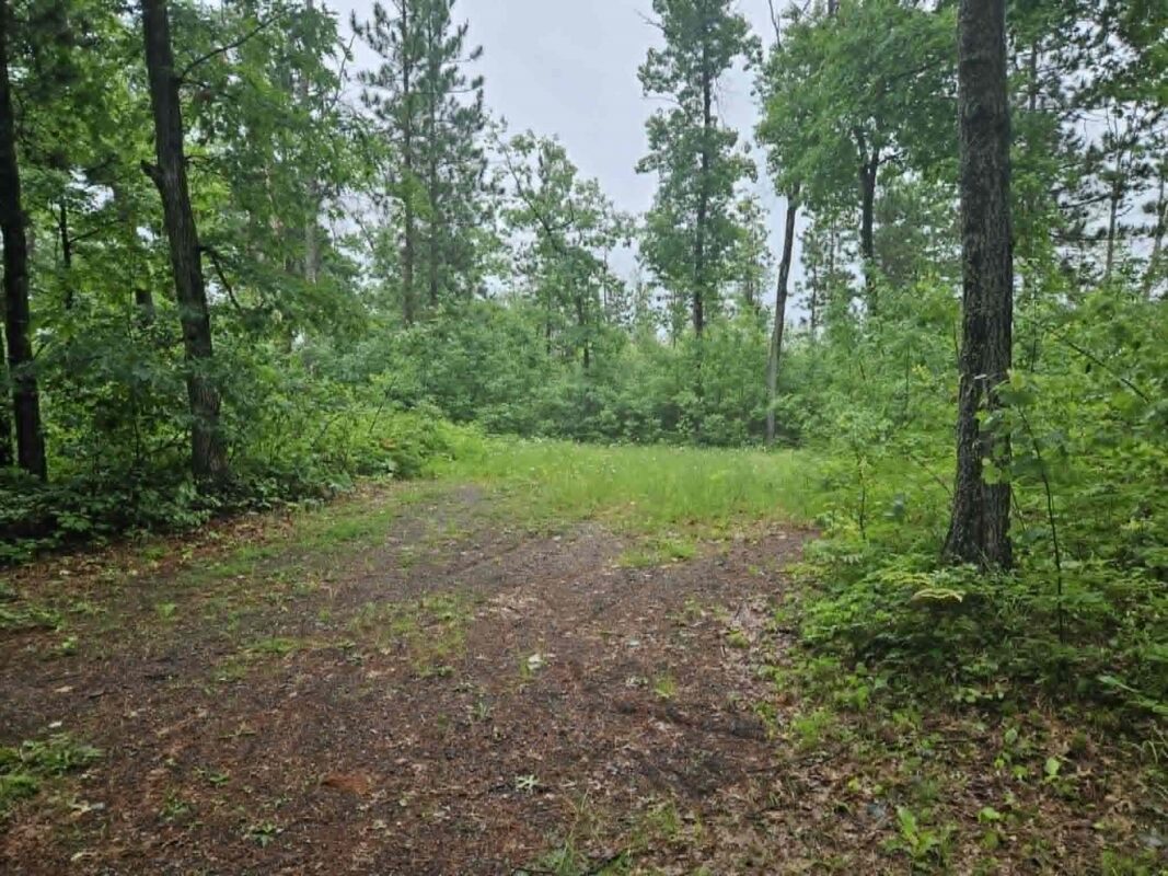 Lot 1-4 Hilly Lane, Spooner WI 54801 - Land house for sale - MLS #1602451 - image11