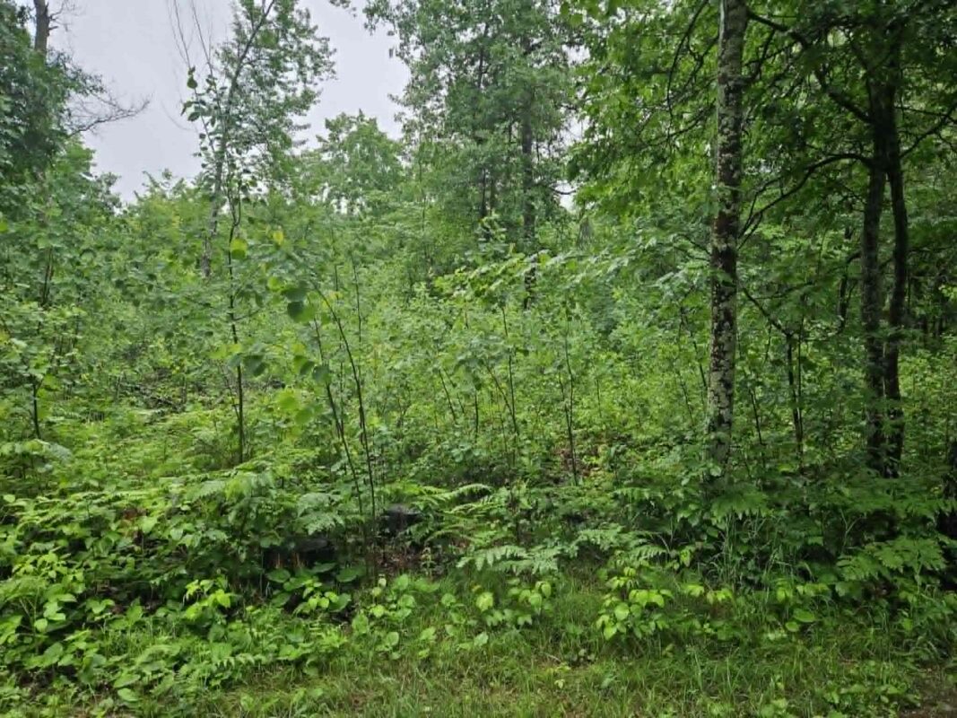 Lot 1-4 Hilly Lane, Spooner WI 54801 - Land house for sale - MLS #1602451 - image12