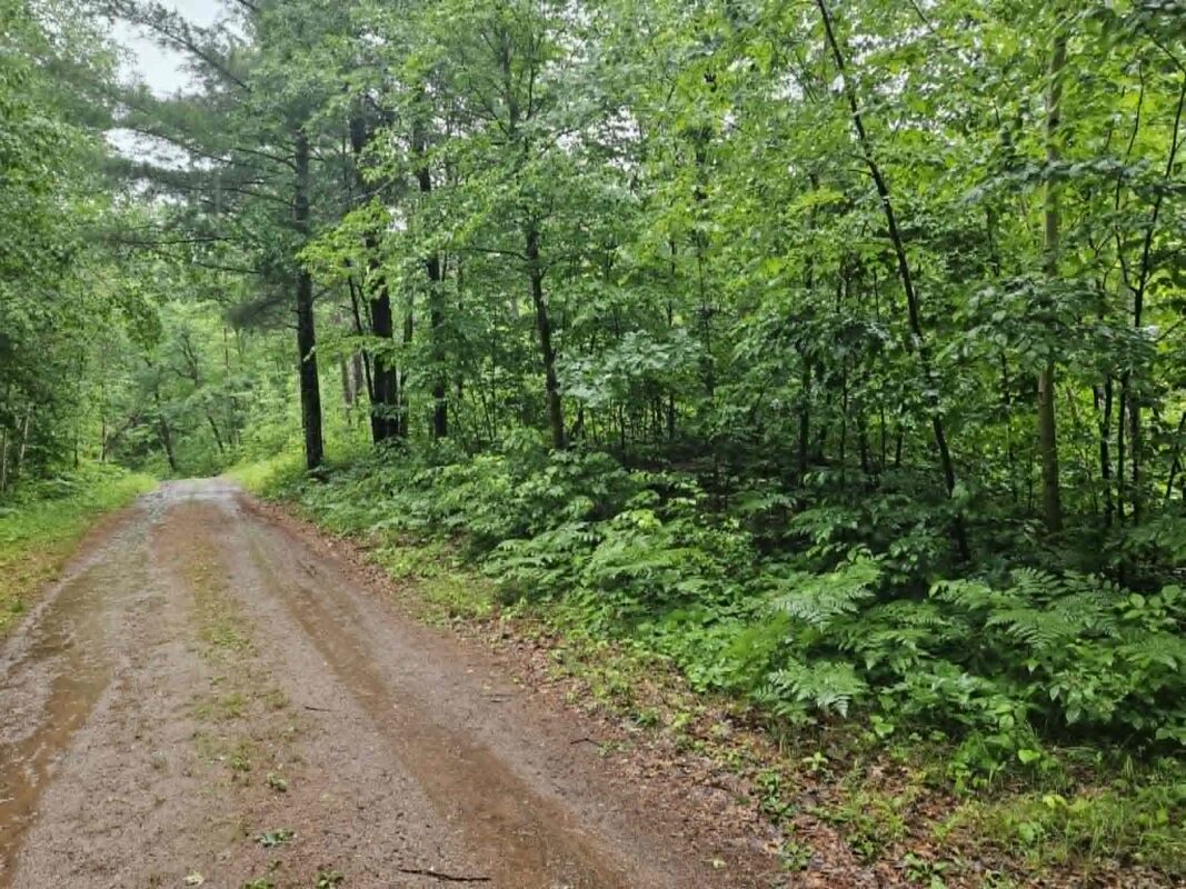 Lot 1-4 Hilly Lane, Spooner WI 54801 - Land house for sale - MLS #1602451 - image14
