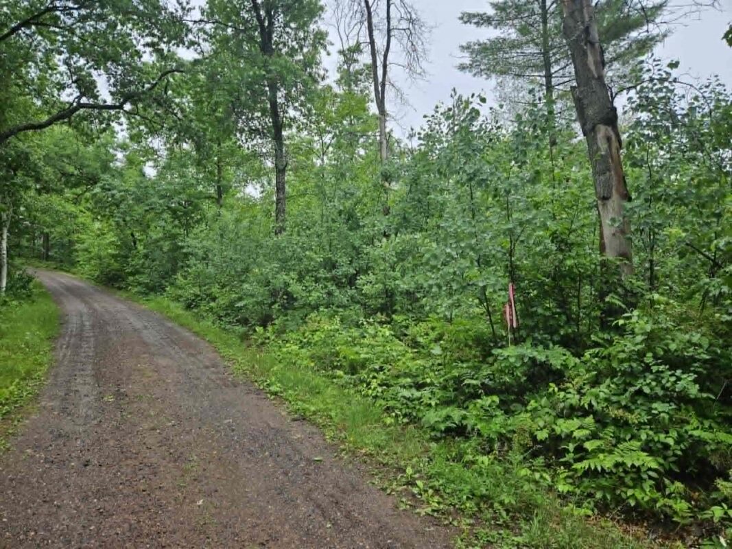 Lot 1-4 Hilly Lane, Spooner WI 54801 - Land house for sale - MLS #1602451 - image7
