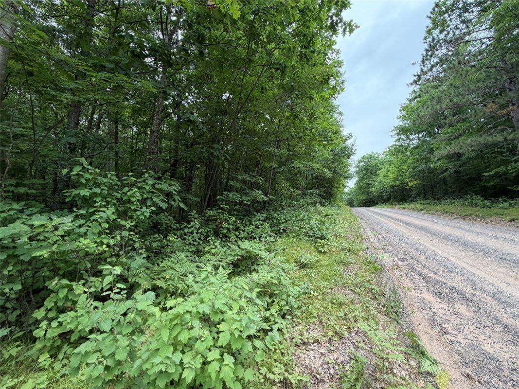 Lot 1 Nor Wis Road, Hayward WI 54843 - Land house for sale - MLS #1603619 - image2