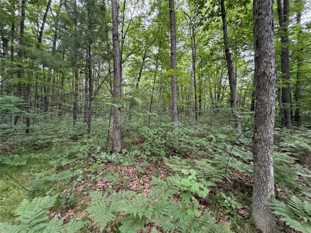 Lot 1 Nor Wis Road, Hayward WI 54843 - Land house for sale - MLS #1603619 - image11