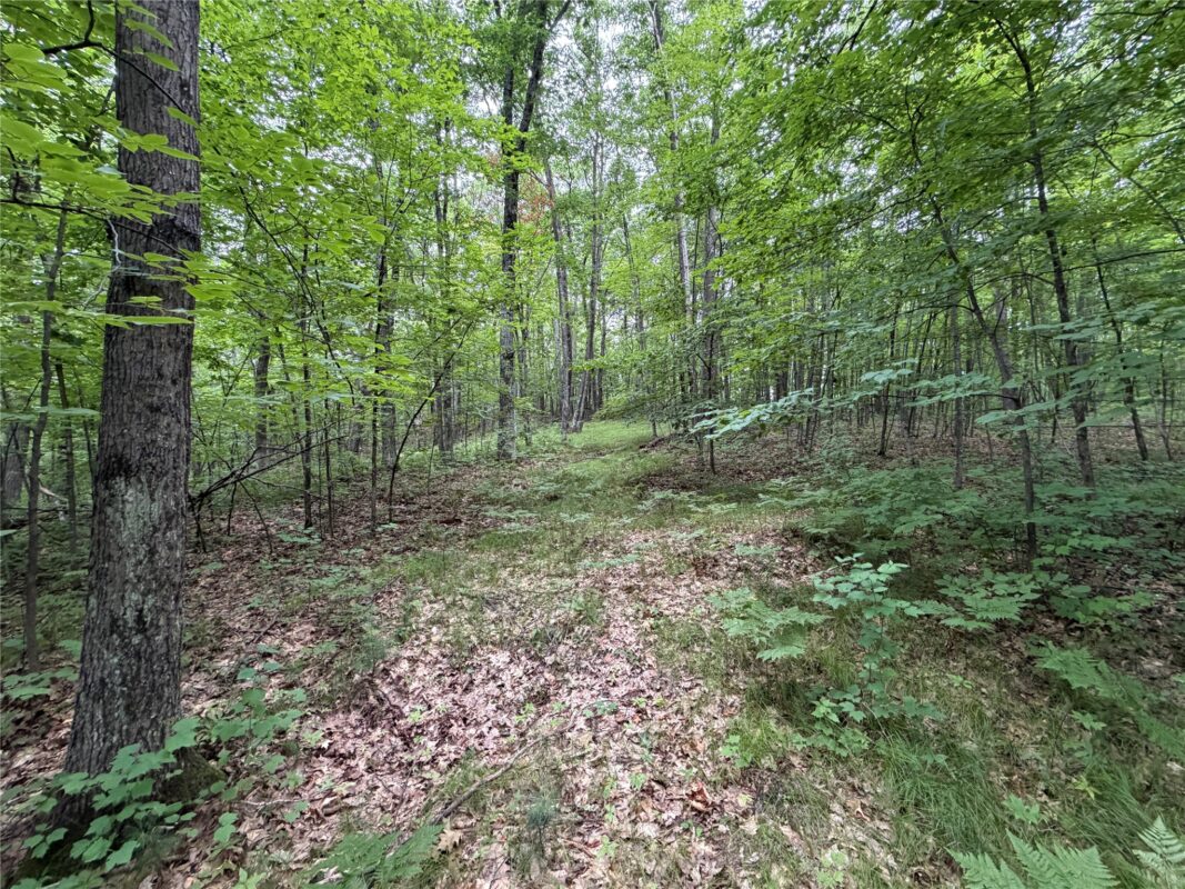 Lot 1 Nor Wis Road, Hayward WI 54843 - Land house for sale - MLS #1603619 - image12