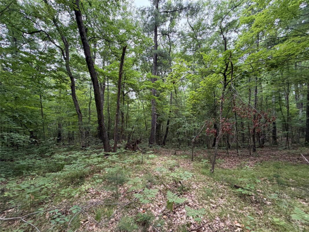 Lot 1 Nor Wis Road, Hayward WI 54843 - Land house for sale - MLS #1603619 - image13