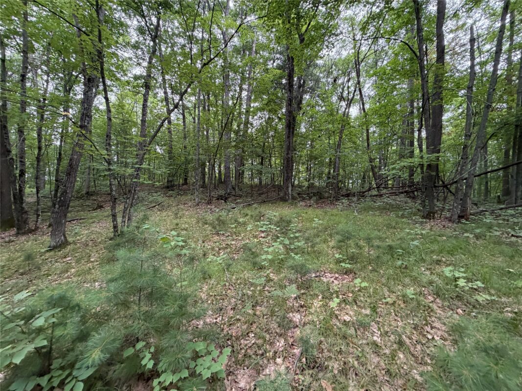 Lot 1 Nor Wis Road, Hayward WI 54843 - Land house for sale - MLS #1603619 - image14
