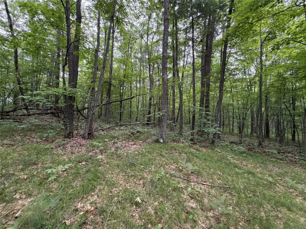 Lot 1 Nor Wis Road, Hayward WI 54843 - Land house for sale - MLS #1603619 - image15