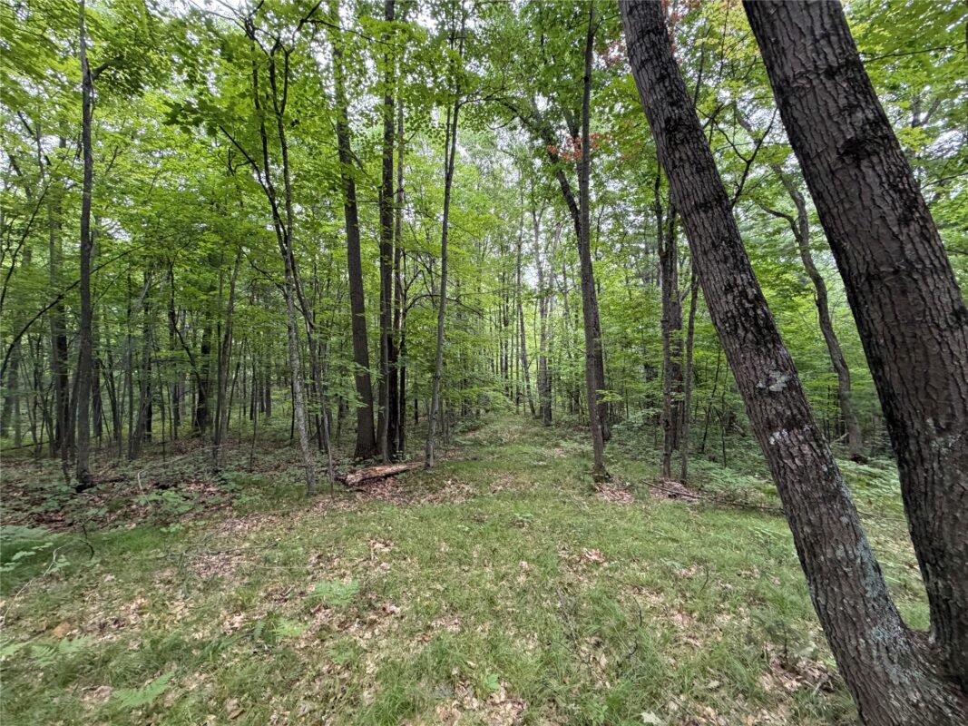 Lot 1 Nor Wis Road, Hayward WI 54843 - Land house for sale - MLS #1603619 - image16