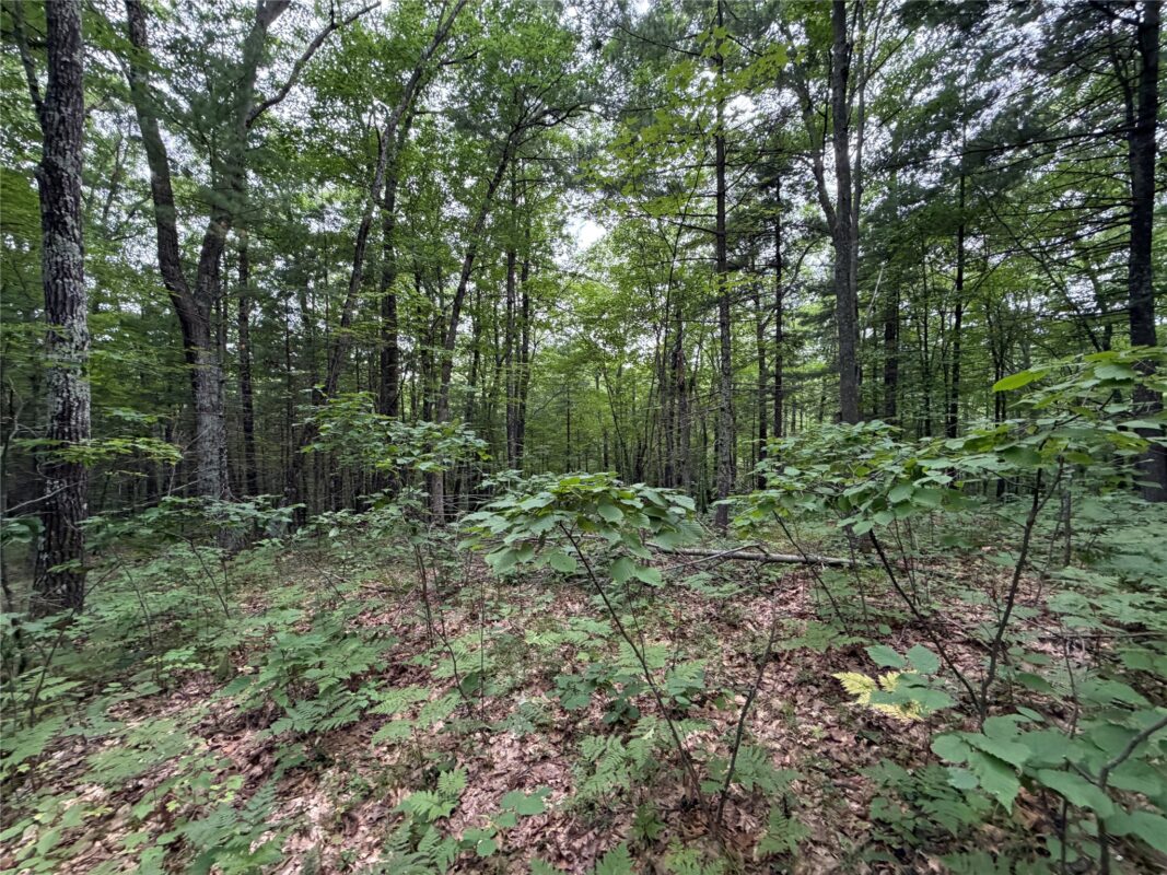 Lot 1 Nor Wis Road, Hayward WI 54843 - Land house for sale - MLS #1603619 - image17
