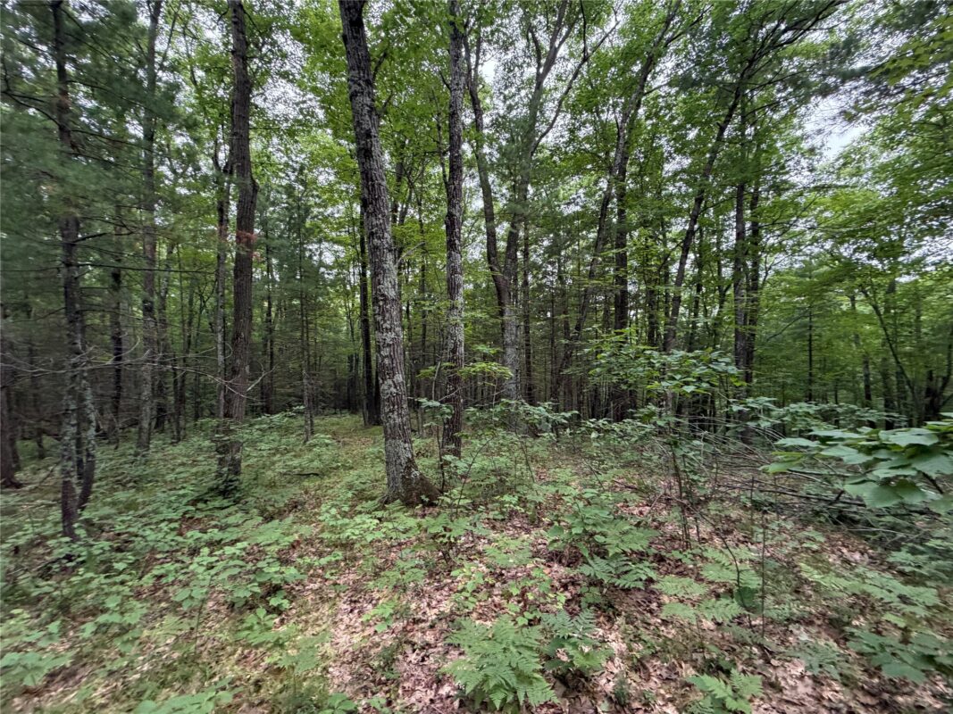 Lot 1 Nor Wis Road, Hayward WI 54843 - Land house for sale - MLS #1603619 - image18
