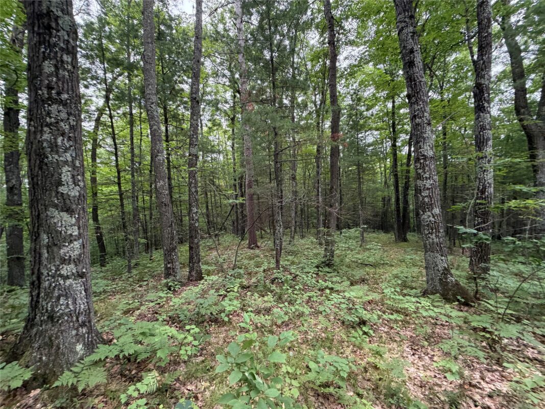 Lot 1 Nor Wis Road, Hayward WI 54843 - Land house for sale - MLS #1603619 - image19