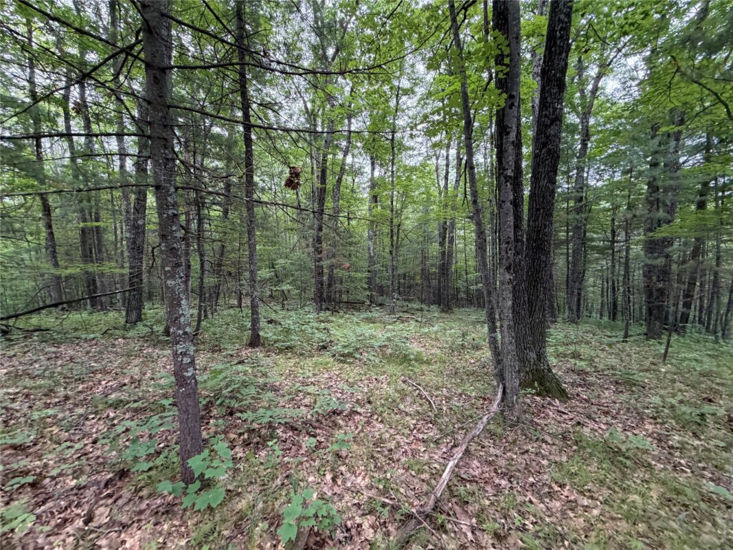 Lot 1 Nor Wis Road, Hayward WI 54843 - Land house for sale - MLS #1603619 - image20