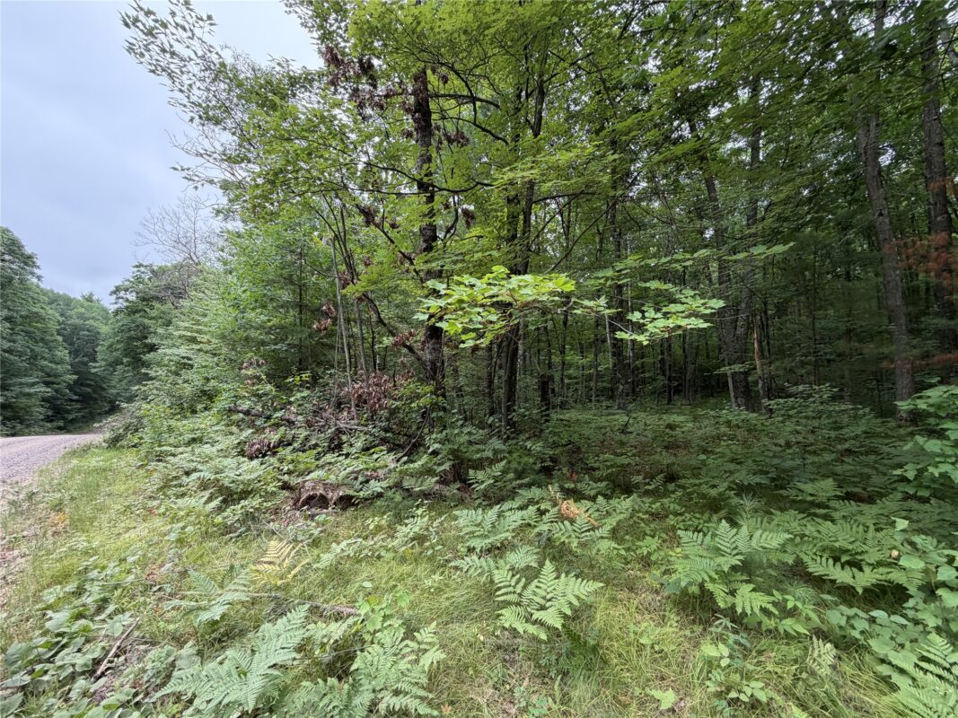 Lot 1 Nor Wis Road, Hayward WI 54843 - Land house for sale - MLS #1603619 - image3