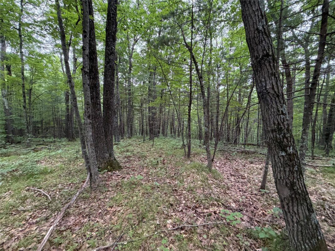 Lot 1 Nor Wis Road, Hayward WI 54843 - Land house for sale - MLS #1603619 - image21