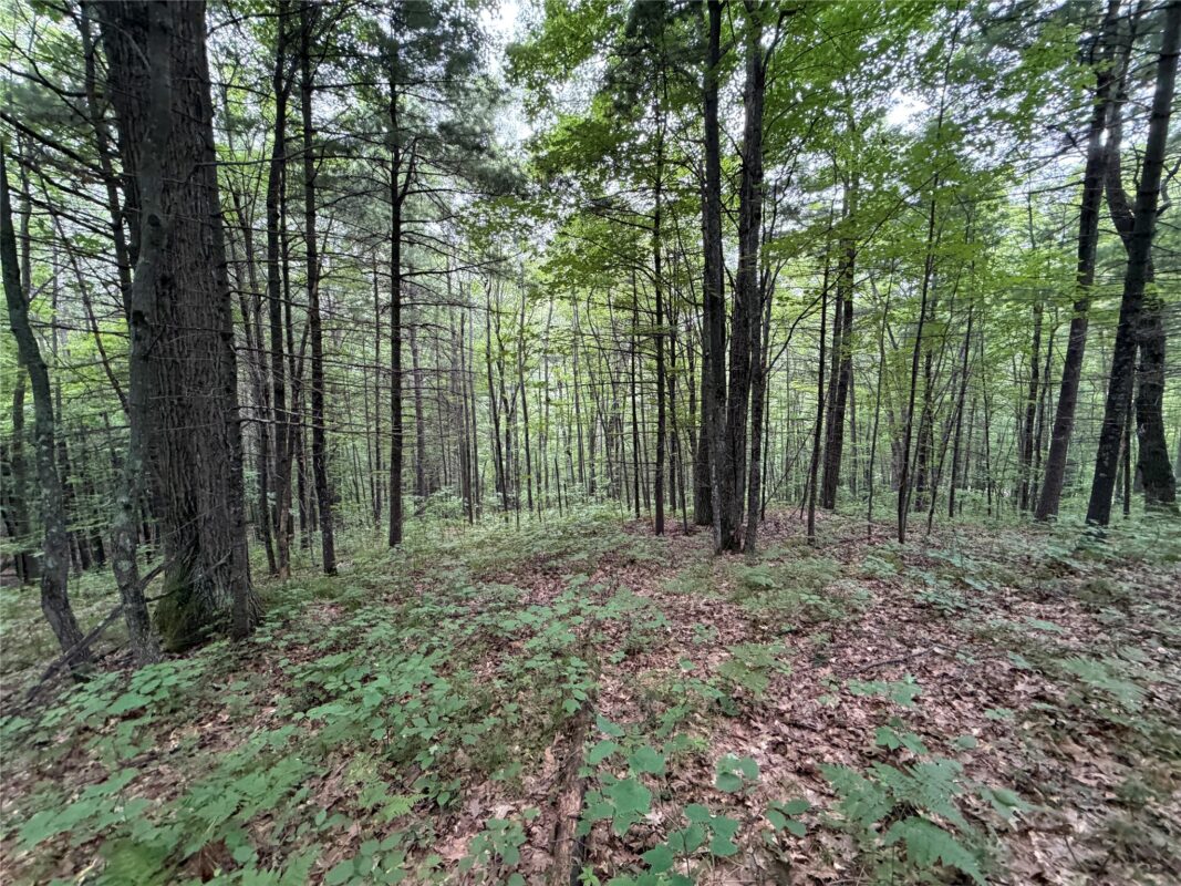 Lot 1 Nor Wis Road, Hayward WI 54843 - Land house for sale - MLS #1603619 - image22