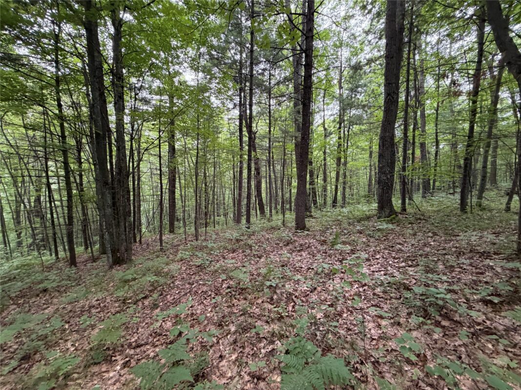 Lot 1 Nor Wis Road, Hayward WI 54843 - Land house for sale - MLS #1603619 - image23