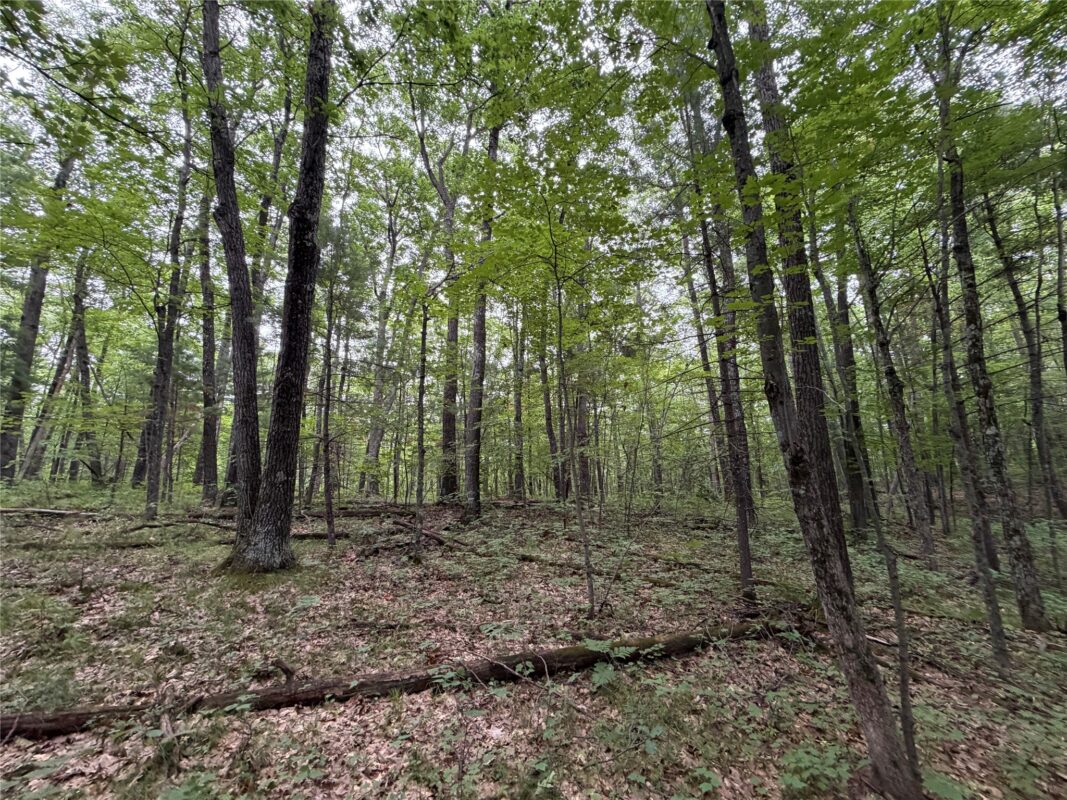 Lot 1 Nor Wis Road, Hayward WI 54843 - Land house for sale - MLS #1603619 - image25