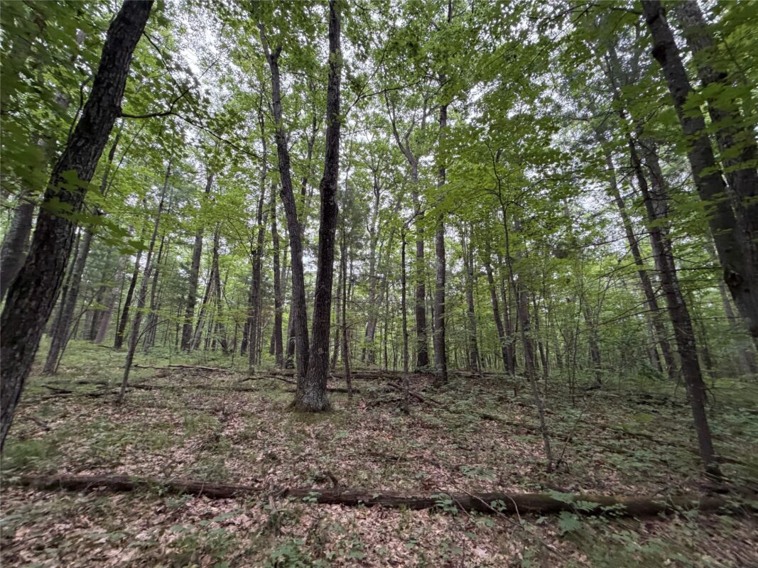 Lot 1 Nor Wis Road, Hayward WI 54843 - Land house for sale - MLS #1603619 - image26