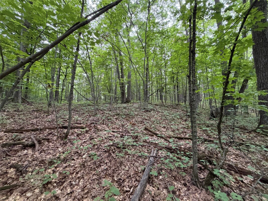 Lot 1 Nor Wis Road, Hayward WI 54843 - Land house for sale - MLS #1603619 - image27
