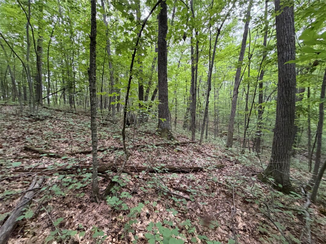 Lot 1 Nor Wis Road, Hayward WI 54843 - Land house for sale - MLS #1603619 - image28