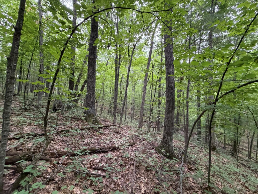 Lot 1 Nor Wis Road, Hayward WI 54843 - Land house for sale - MLS #1603619 - image29
