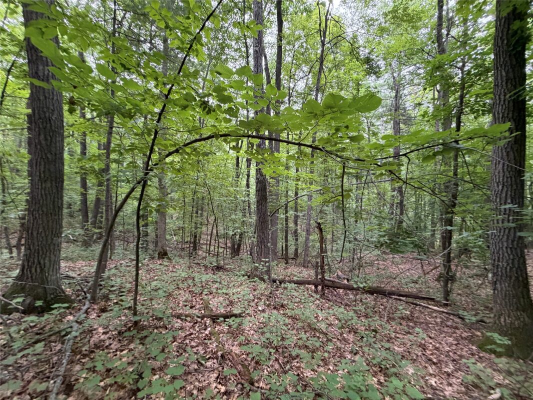 Lot 1 Nor Wis Road, Hayward WI 54843 - Land house for sale - MLS #1603619 - image30