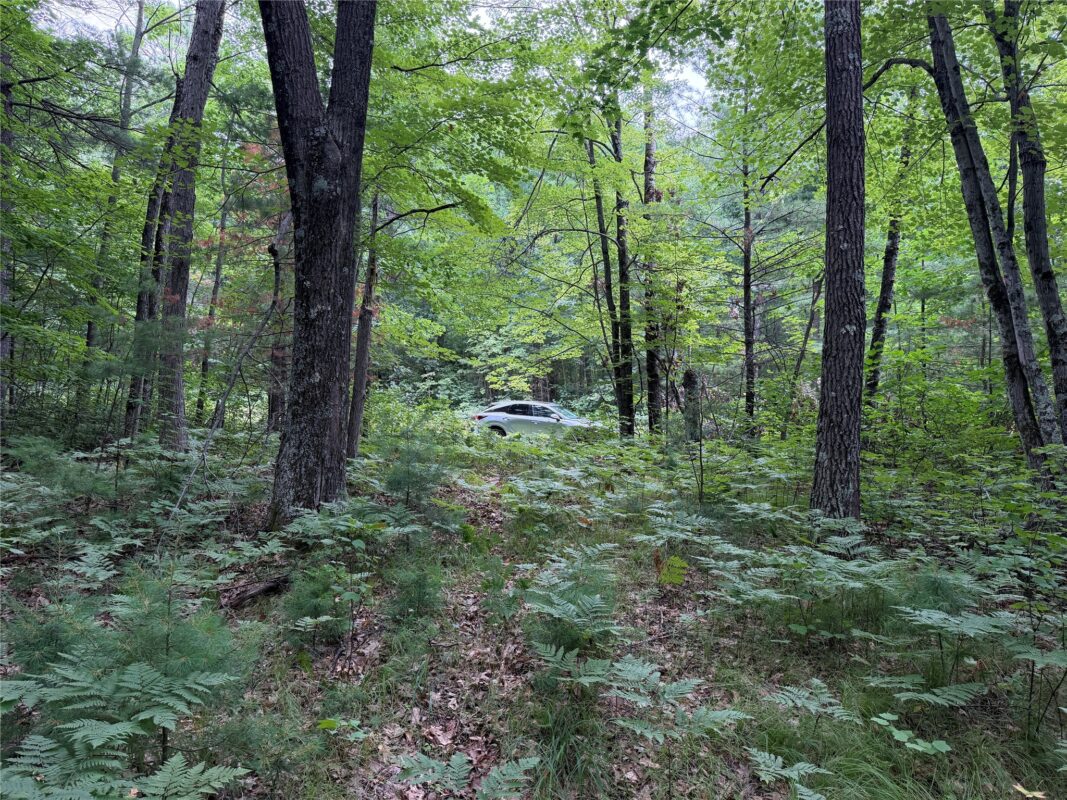 Lot 1 Nor Wis Road, Hayward WI 54843 - Land house for sale - MLS #1603619 - image4