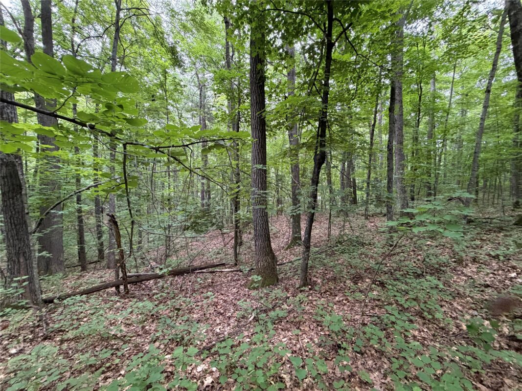Lot 1 Nor Wis Road, Hayward WI 54843 - Land house for sale - MLS #1603619 - image31