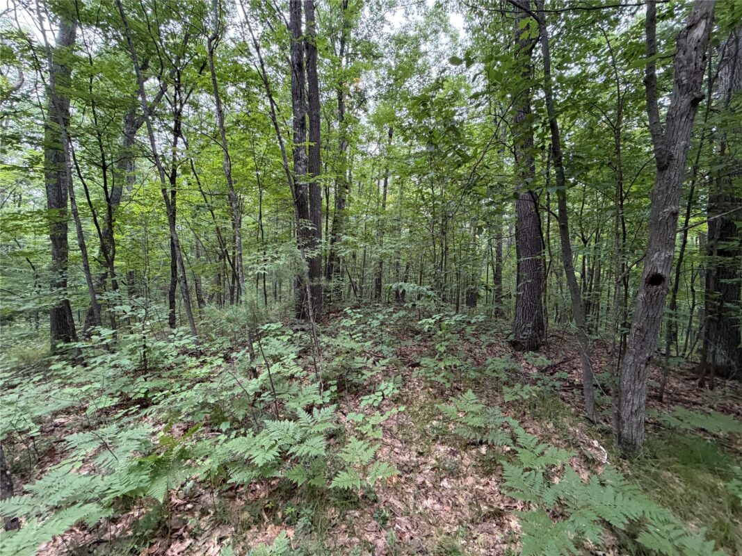 Lot 1 Nor Wis Road, Hayward WI 54843 - Land house for sale - MLS #1603619 - image32