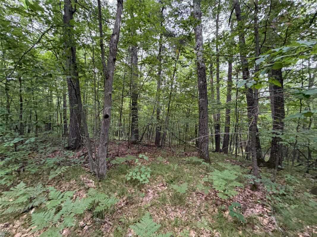 Lot 1 Nor Wis Road, Hayward WI 54843 - Land house for sale - MLS #1603619 - image33