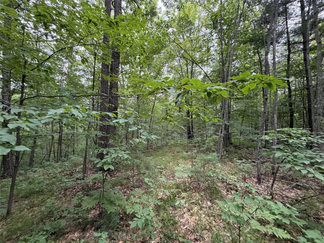 Lot 1 Nor Wis Road, Hayward WI 54843 - Land house for sale - MLS #1603619 - image34