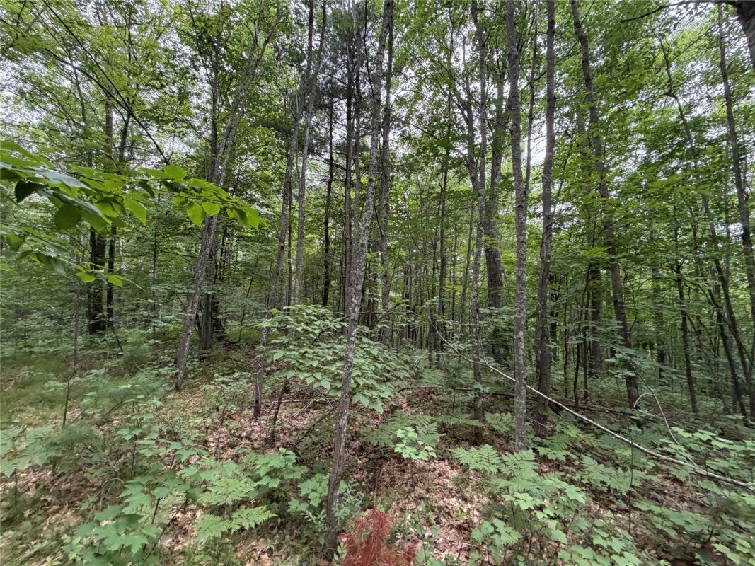 Lot 1 Nor Wis Road, Hayward WI 54843 - Land house for sale - MLS #1603619 - image35