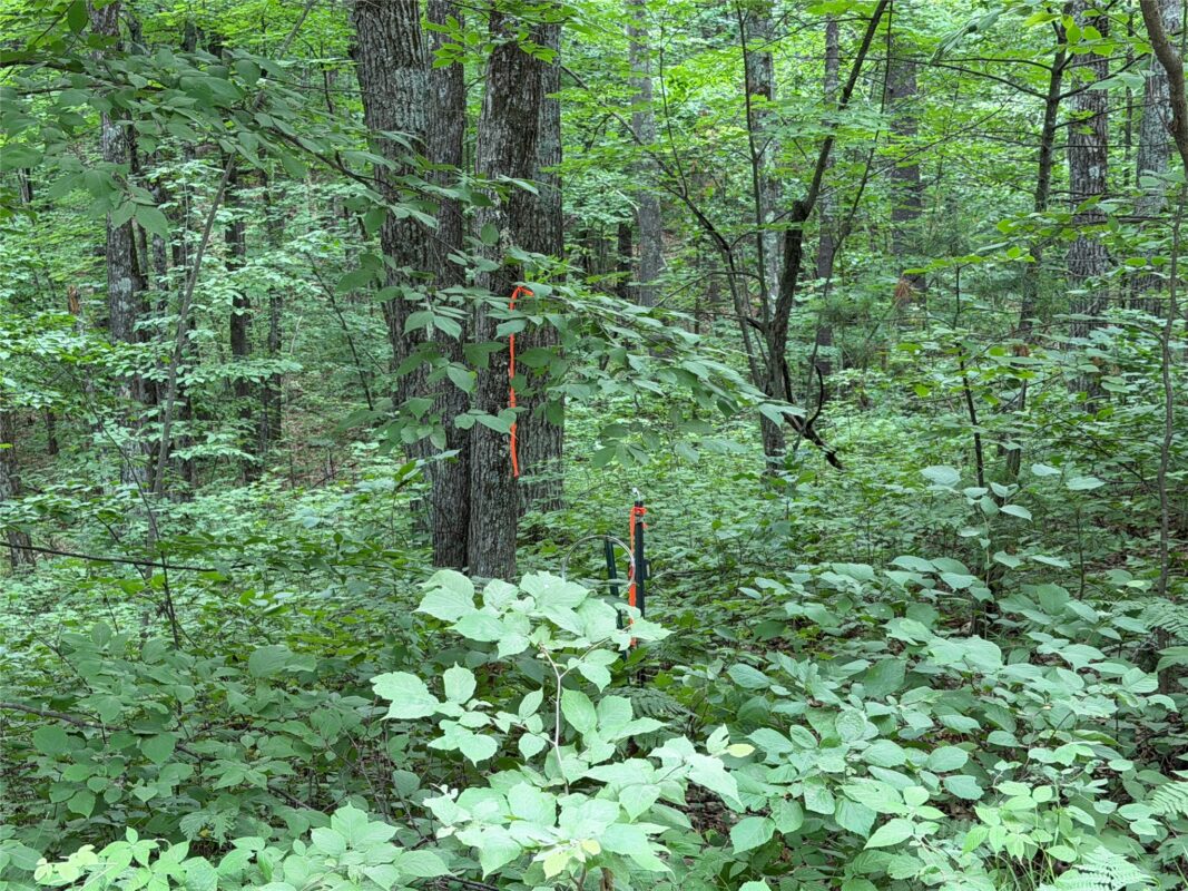 Lot 1 Nor Wis Road, Hayward WI 54843 - Land house for sale - MLS #1603619 - image37