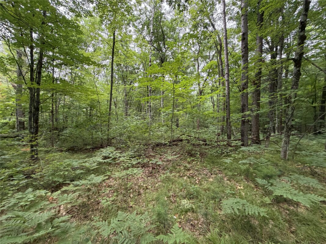Lot 1 Nor Wis Road, Hayward WI 54843 - Land house for sale - MLS #1603619 - image6