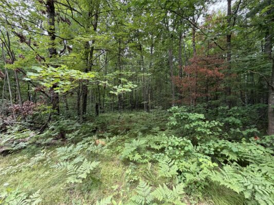 Lot 1 Nor Wis Road Hayward WI 54843