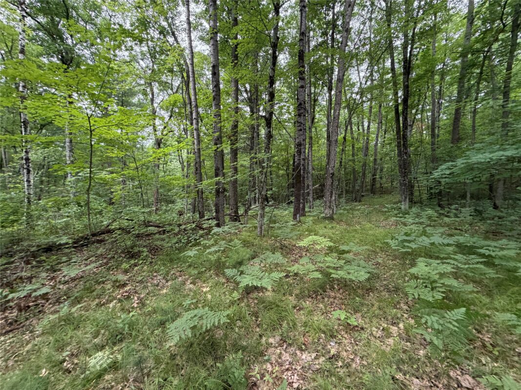 Lot 1 Nor Wis Road, Hayward WI 54843 - Land house for sale - MLS #1603619 - image7