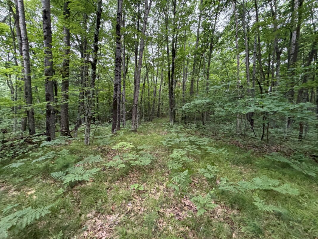 Lot 1 Nor Wis Road, Hayward WI 54843 - Land house for sale - MLS #1603619 - image8