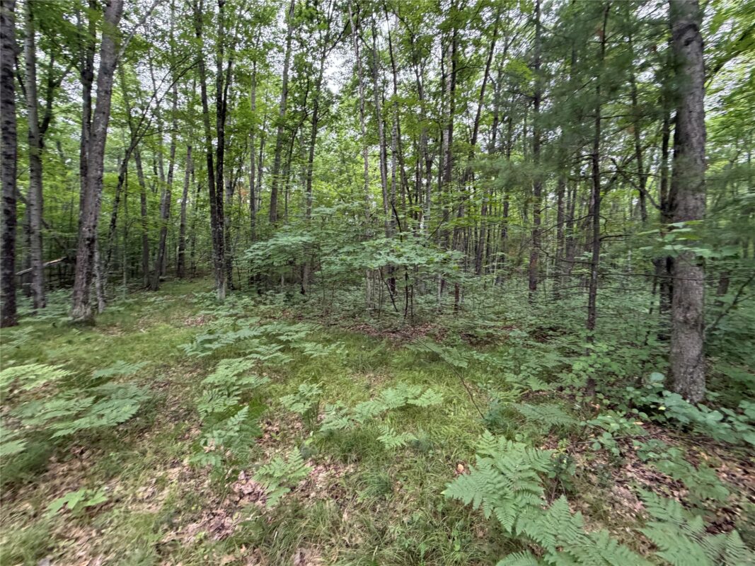Lot 1 Nor Wis Road, Hayward WI 54843 - Land house for sale - MLS #1603619 - image9