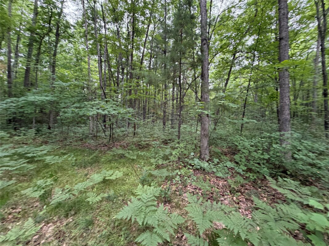 Lot 1 Nor Wis Road, Hayward WI 54843 - Land house for sale - MLS #1603619 - image10