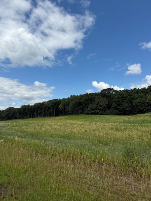 Lot 105 Roma Street, Eau Claire WI 54701 - Land house for sale - MLS #1603511 - image2