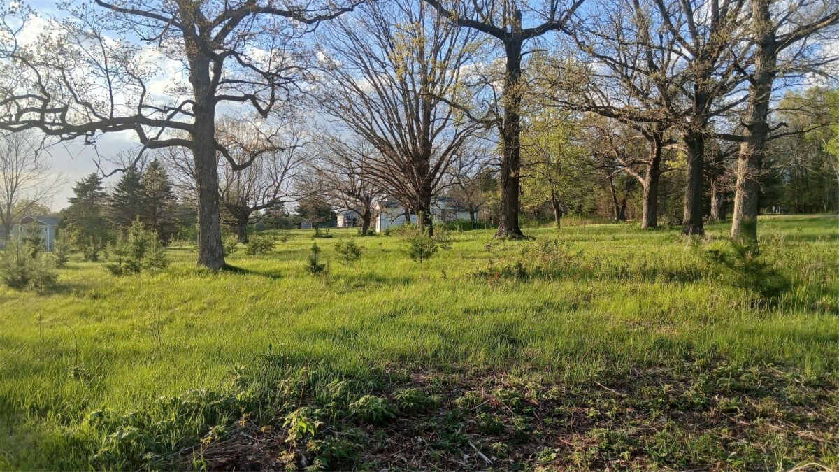Lot 11 25-25 1/4 Street, Chetek WI 54728 - Land house for sale - MLS #1598294 - image2