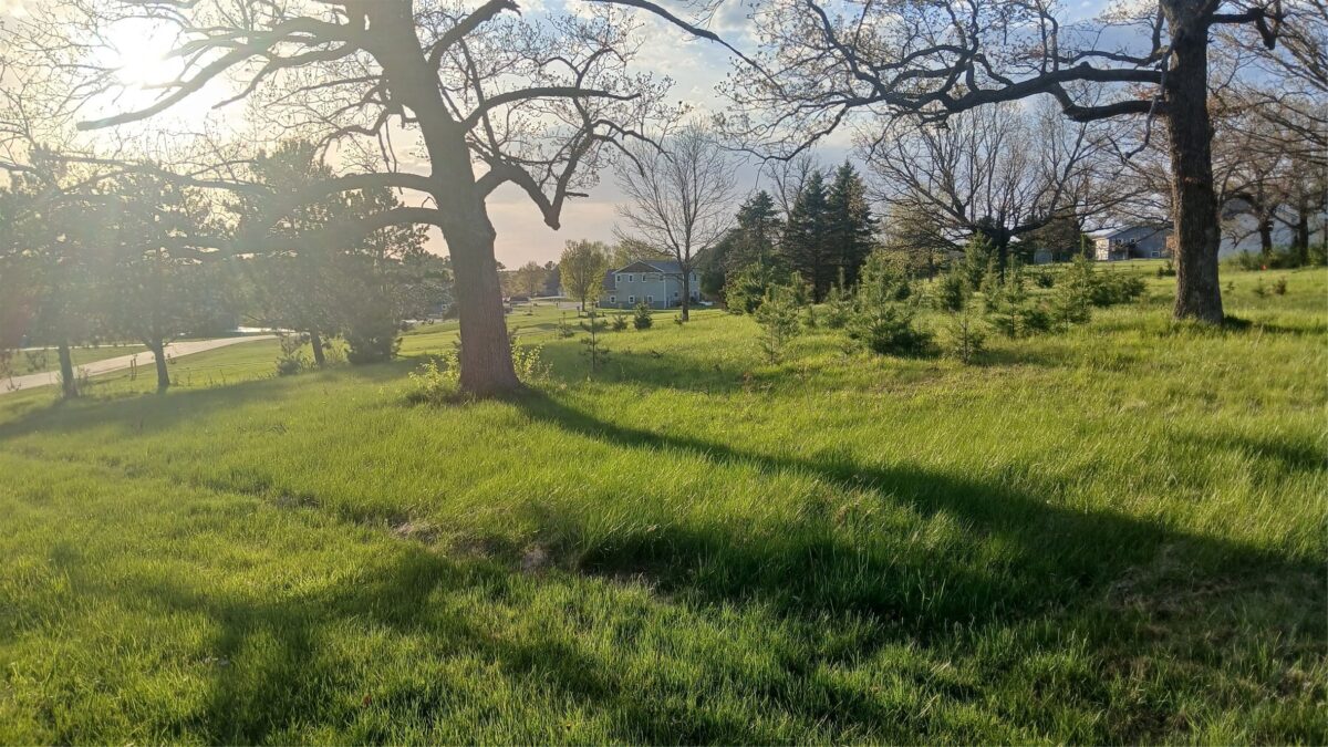 Lot 11 25-25 1/4 Street, Chetek WI 54728 - Land house for sale - MLS #1598294 - image3