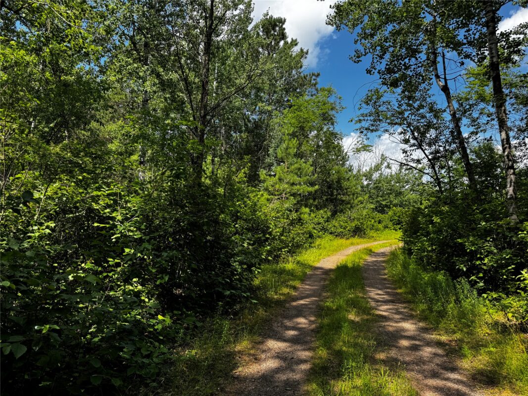 Lot 12 Cassandra Road, Hayward WI 54843 - Land house for sale - MLS #1603279 - image6