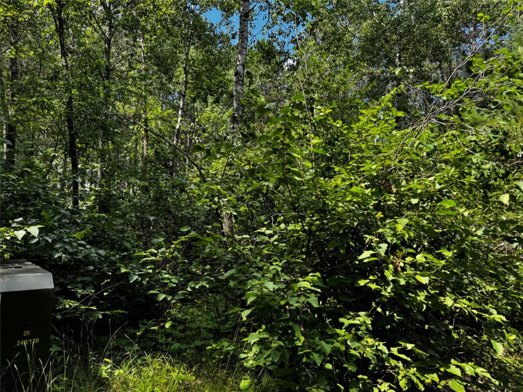 Lot 12 Cassandra Road, Hayward WI 54843 - Land house for sale - MLS #1603279 - image9